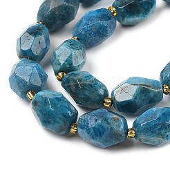 Natural Apatite Beads Strands&nbsp;G-P541-A01-06
