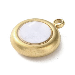304 Stainless Steel Acrylic Pendants&nbsp;LS-STAS-M091-02A-G