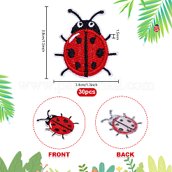 Ladybug Computerized Embroidery Polyester Iron on/Sew on Patches&nbsp;PATC-WH0003-55