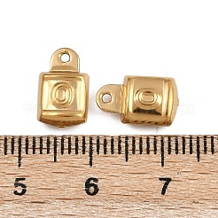 304 Stainless Steel Charms&nbsp;STAS-L297-12G