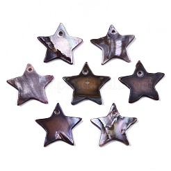 Natural Freshwater Shell Pendants&nbsp;SHEL-R113-16