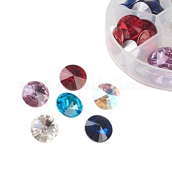 Glass Pointed Back & Back Plated Rhinestone&nbsp;RGLA-JP0001-02