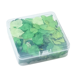 76g 8 スタイル透明アクリル ペンダント  葉  ミックスカラー  15~24x11~22.5x2~5mm  穴：1~2mm&nbsp;OACR-FS0001-15