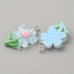 Translucent Resin Pendants&nbsp;RESI-TAC0004-32P-02