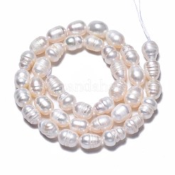 天然養殖淡水パールビーズ連売り  ライス  貝殻色  8.5~12x6.5~7.5mm  穴：0.8mm  約32~39個/連  13.82インチ〜14.37インチ（35.1cm〜36.5cm）&nbsp;PEAR-N012-07A
