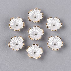 プラスチックビーズキャップ  5  - 花びらの花  ツートン  ゴールドライン入り  フローラルホワイト  10~11x10~11x4mm  穴：1.6mm  約2000個/袋&nbsp;KY-Q005-04A-01