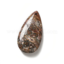 天然ヒョウ肌ジャスパーペンダント  ティアドロップチャーム  39~39.5x19~19.5x6.5~7mm  穴：1.2mm&nbsp;X-G-F731-04G