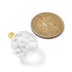 Clear Glass Pendants&nbsp;PALLOY-JF02404-02