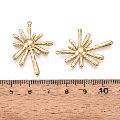 304 Stainless Steel Pendants&nbsp;STAS-T064-62G