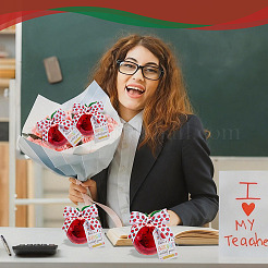 12Pcs Teachers' Day Apple Shaped Transparent Plastic Jewelry Gift Storage Boxes&nbsp;AJEW-OC0016-14