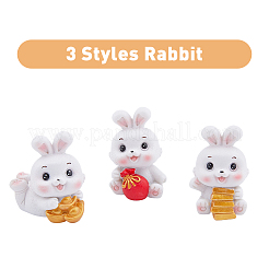 3Pcs 3 Style Resin Display Decoration&nbsp;DJEW-DC0001-01