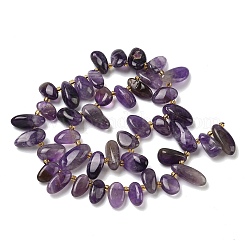 Natural Amethyst Beads Strands&nbsp;G-P604-A16-01