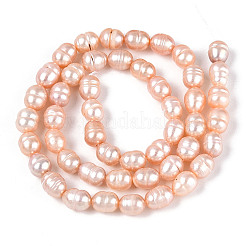 Natural Cultured Freshwater Pearl Beads Strands&nbsp;PEAR-N012-05Y-03