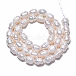 天然養殖淡水パールビーズ連売り  ライス  貝殻色  8.5~12x6.5~7.5mm  穴：0.8mm  約32~39個/連  13.82インチ〜14.37インチ（35.1cm〜36.5cm）&nbsp;X-PEAR-N012-07A