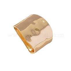 広帯域の腕輪を合金  女性用ヒンジ付きバングル  ゴールドカラー  内径：2-1/2インチ（6.3cm）&nbsp;FS-WG881D8-01