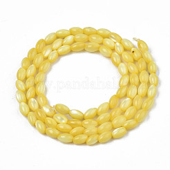 Natural Freshwater Shell Beads Strands&nbsp;SHEL-N003-25-B05