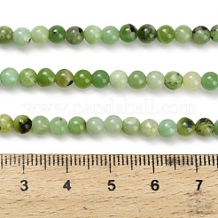 Natural Serpentine Beads Strands&nbsp;G-Z110-C04-4mm