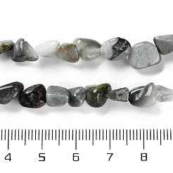 天然石のイーグルアイストーンビーズ連売り  ナゲット  タンブルストーン  4.5~11.5x3~7x3.5~6mm  穴：1.2mm  約48~68個/連  15.35~15.94''（39~40.5センチメートル）&nbsp;X-G-P497-01C-52