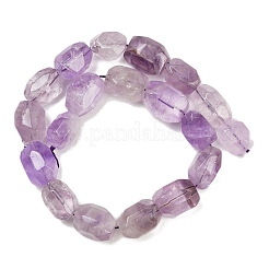 Natural Amethyst Beads Strands&nbsp;G-F796-C07-01