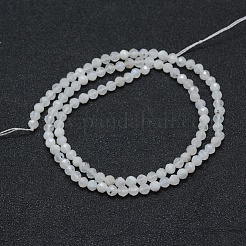 Natural Rainbow Moonstone Beads Strands&nbsp;X-G-E411-08-4mm