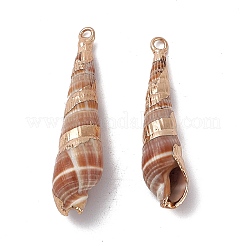 Electroplated Natural Cowrie Shell Pendants&nbsp;SHEL-F003-11