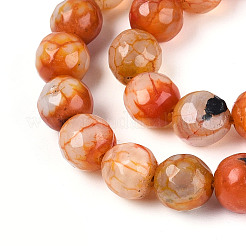 Dyed & Heated Natural Fire Crackle Agate Beads Strands&nbsp;G-N359-01A-06