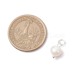 Natural Cultured Freshwater Pearl Two Sides Polished Charms&nbsp;PALLOY-JF04036-02