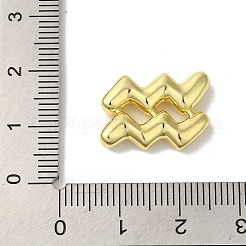 真鍮ビーズ  鉛フリー＆カドミウムフリー  長持ちメッキ  星座  水瓶座  14x18.5x4mm  穴：4x2mm&nbsp;KK-H478-24G-11