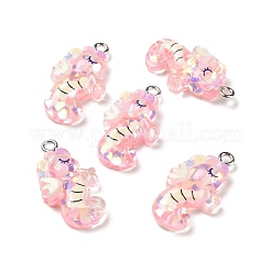 Transparent Resin Pendants&nbsp;RESI-J023-05A