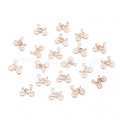 Alloy Pendants&nbsp;LS-TIBEP-Q076-048RG-RS