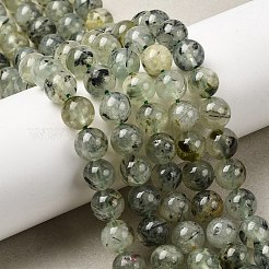 Natural Prehnite Beads Strands&nbsp;G-G457-8mm-03