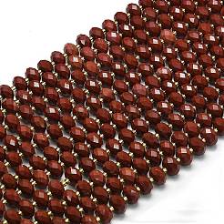 Natural Red Jasper Beads Strands&nbsp;G-P573-A43-01