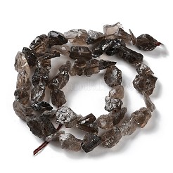 Raw Rough Natural Smoky Quartz Beads Strands&nbsp;G-B065-C17