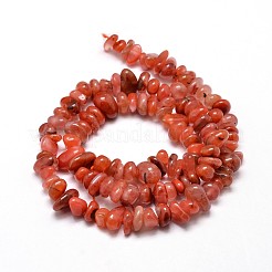 Dyed Natural Carnelian Chip Beads Strands&nbsp;G-E271-74