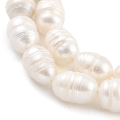 Natural Cultured Freshwater Pearl Beads Strands&nbsp;PEAR-P062-09A