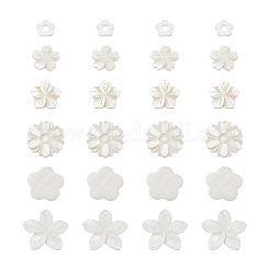 Natural Freshwater Shell Pendants&nbsp;SSHEL-KS0001-01