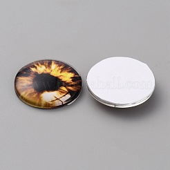 ガラスカボション  アイ模様とハーフラウンド/ドーム  ココナッツブラウン  25x6mm&nbsp;LS-GLAA-WH0033-75G-07