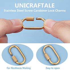 6Pcs 2 Colors 304 Stainless Steel Screw Carabiner Lock Charms&nbsp;STAS-UN0060-77