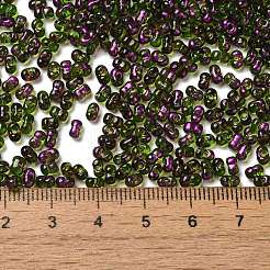 Spray Painted Glass Seed Beads&nbsp;SEED-F005-07A-03
