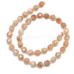 Natural Sunstone Beads Strands&nbsp;G-I376-D65-01
