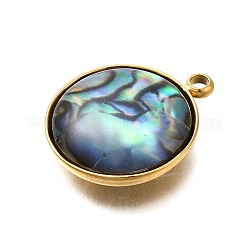 304 Stainless Steel Pave Natural Paua Shell Pendants&nbsp;STAS-Z125-01E-G