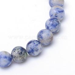 Round Dyed Natural Blue Spot Jasper Bead Strands&nbsp;G-R345-6mm-14