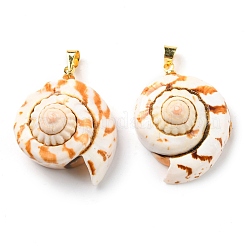 Natural Spiral Shell Red Lip Shell Pendants&nbsp;SSHEL-R145-06