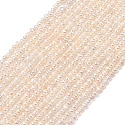 天然養殖淡水パールビーズ連売り  ポテト  グレード4a+  古いレース  2~2.5mm  穴：0.2mm  約195個/連  15.35''（39センチメートル）&nbsp;PA-CBABE82-08B