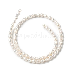 天然養殖淡水パールビーズ連売り  ライス  グレード4 A  アンティークホワイト  4.5~4.8mm  穴：0.6mm  約70個/連  15.35インチ（39cm）&nbsp;PEAR-C004-03