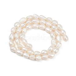 Natural Cultured Freshwater Pearl Beads Strands&nbsp;PEAR-P064-20H-04A