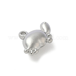 304 Stainless Steel Charms&nbsp;X-STAS-F320-13P