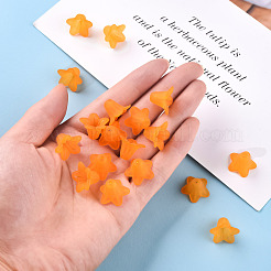 Transparent Acrylic Beads&nbsp;PLF018-08