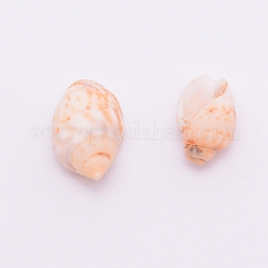 Natural Conch Shell Beads&nbsp;SSHEL-WH0001-33