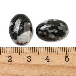 天然ゼブラジャスパーカボション  オーバル  18x13x5~5.5mm&nbsp;G-C115-01A-39